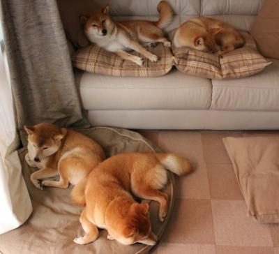 开云体育-唯一性的体育盛宴,美加墨世界杯焦点战与步行者粉碎山西队的意外交汇