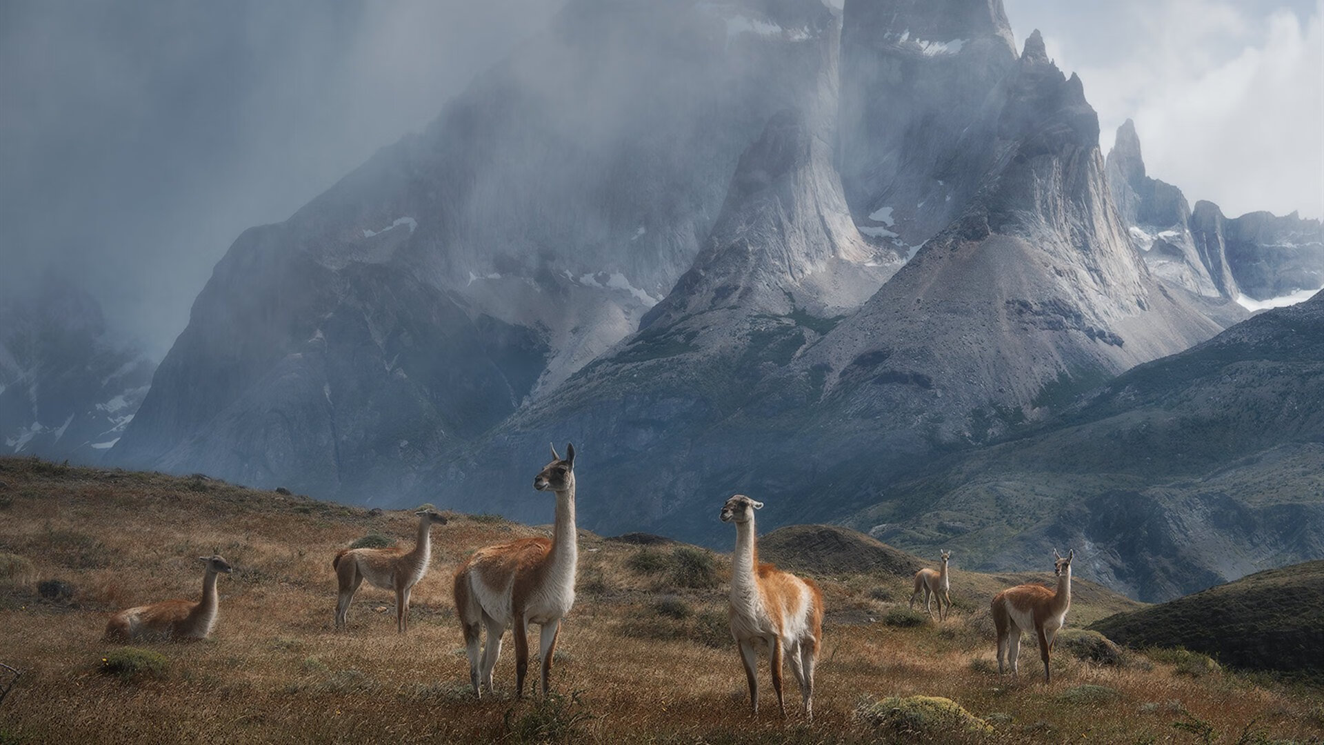 开云sport-卡马文加征服左路,法国对突尼斯之战的無争议全场最佳