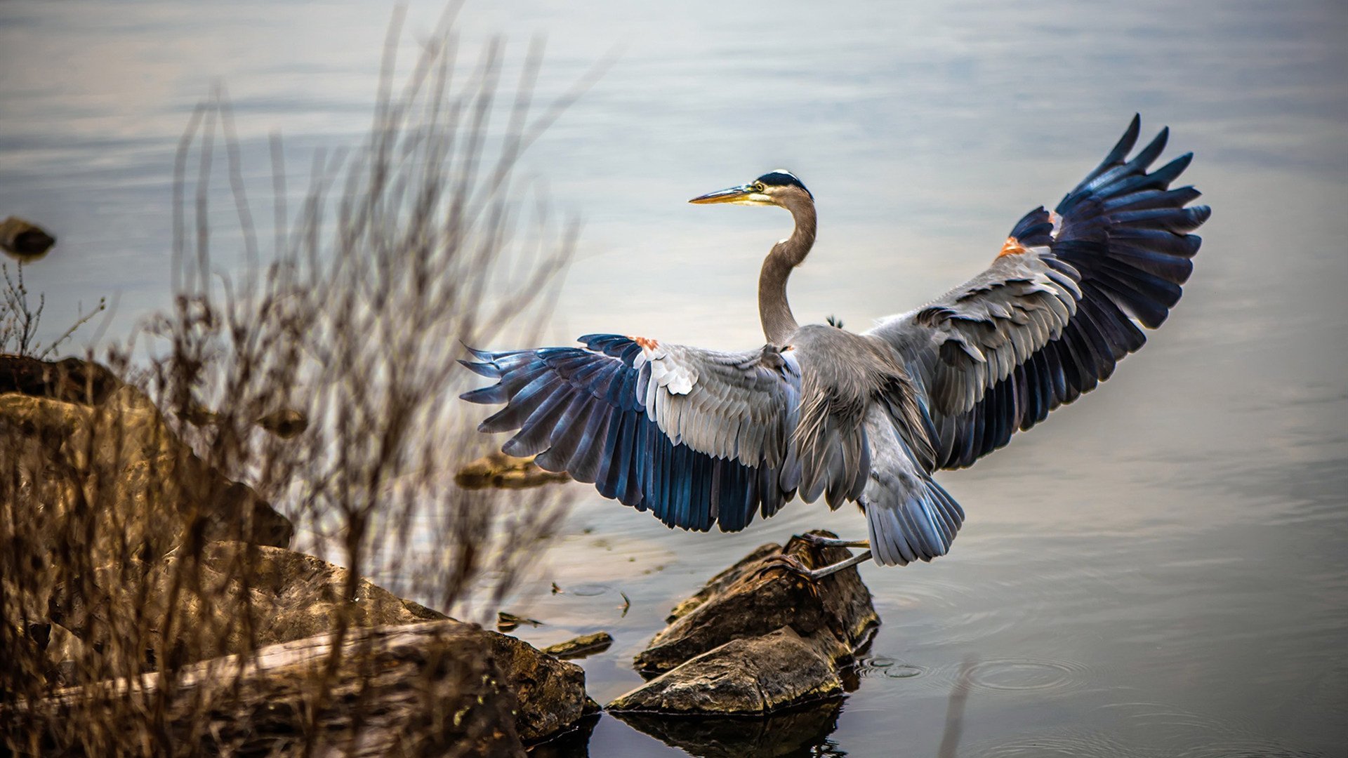 开云体育官网-疾风怒涛!贝蒂斯战术强压封锁秘鲁,迪亚斯化身高能核心全程主导战局