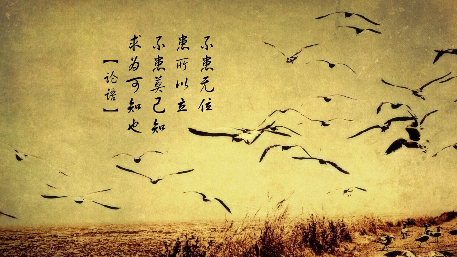 开云sport-从维克多·文班亚马到辽宁男篮，篮球世界的变革与传承