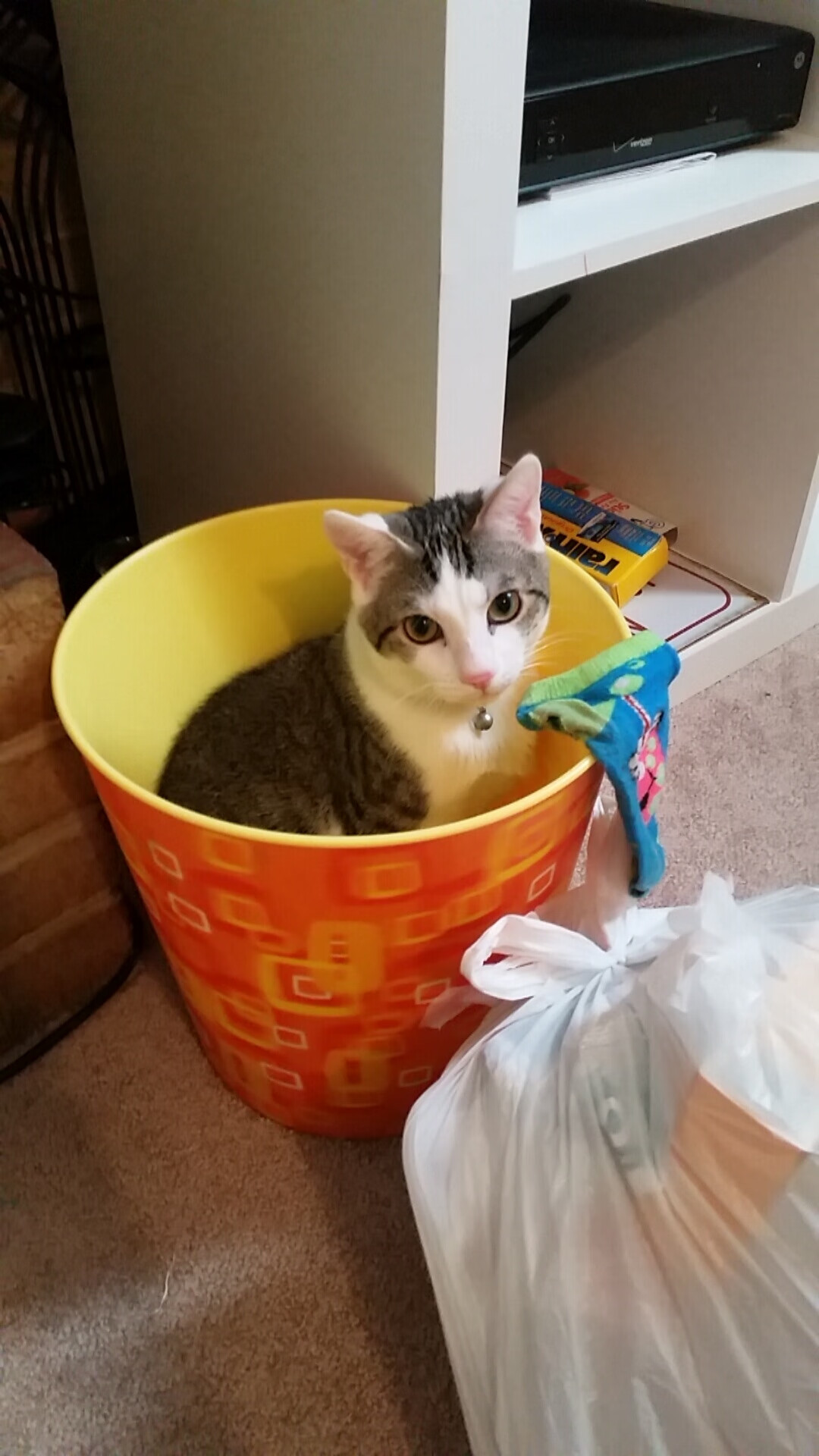 关键先生布克,连续得分奠定胜局,奇才客场击败独行侠