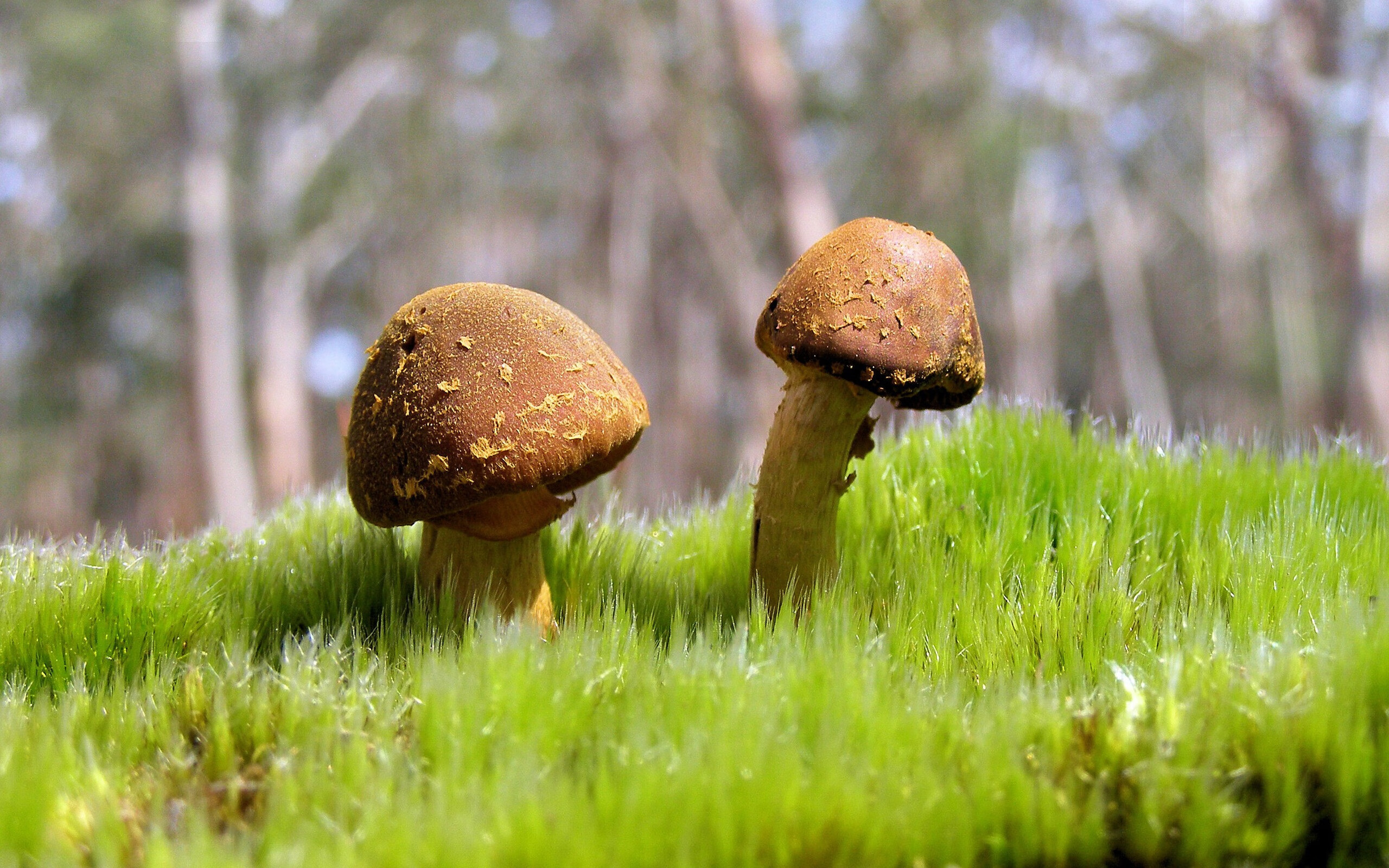 破茧成蝶的夜晚,乔治如何用一记上篮终结浙江队的心魔