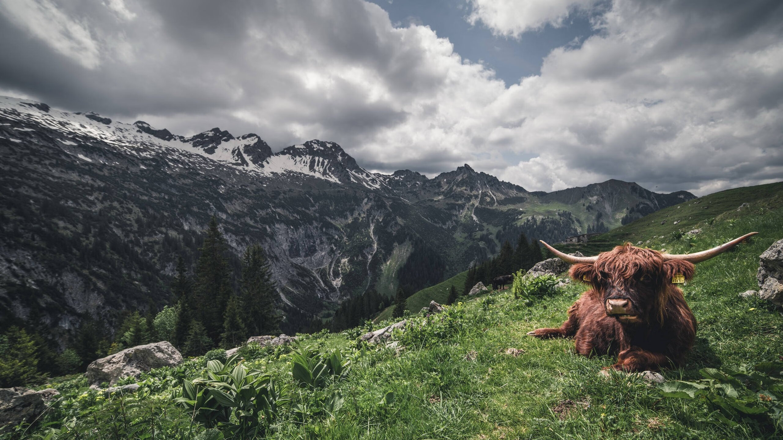 开云体育app-一步之遥，千里独行，黄喜灿的抢七封神夜