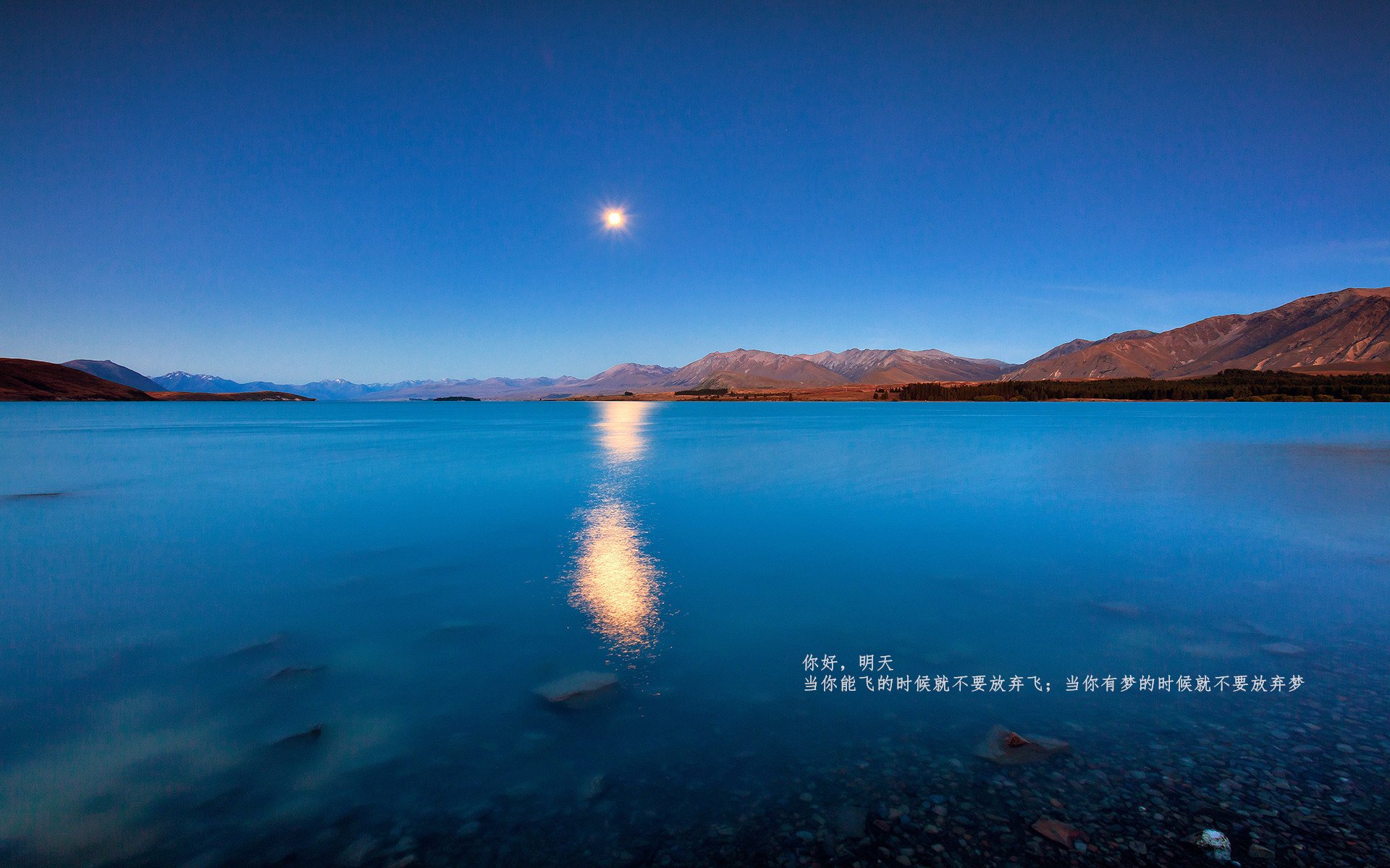 铁骑破风车,罗德里戈全程高能导演马赛稳稳拿下荷兰强敌