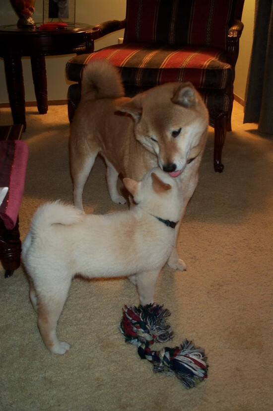 开云体育2026-霍勒迪独奏广厦凯歌，个人能力诠释团队胜利，力克步行者