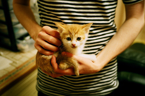 绿茵博弈场，从佩德里的手术刀到多特蒙德的战术铁幕