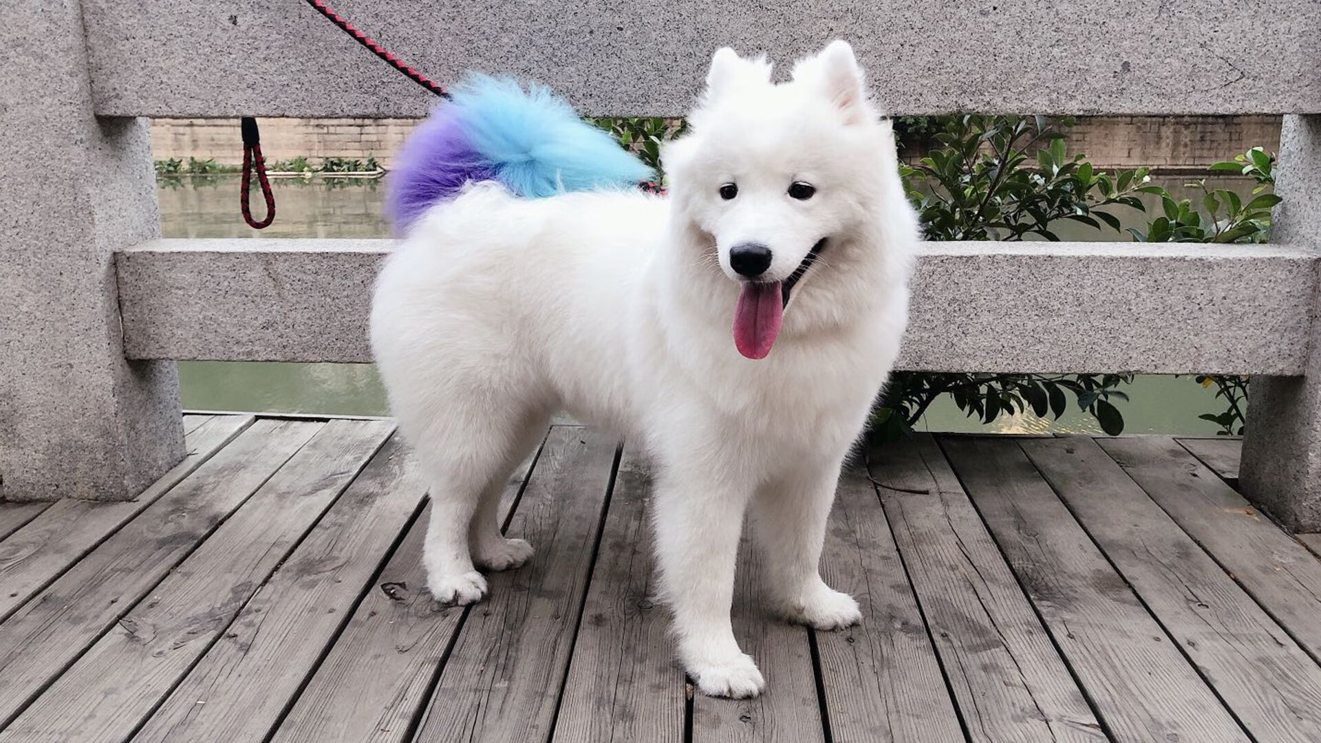 开云体育app-绿茵场上的独裁者，维尼修斯如何用双脚撰写新王权