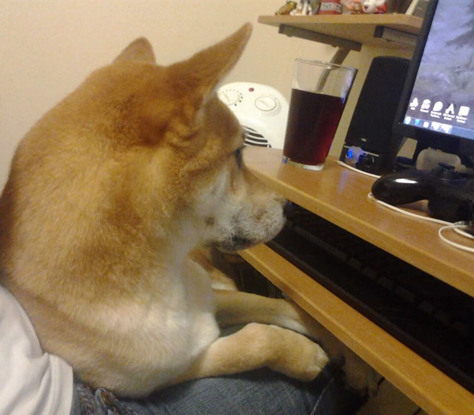 绿茵场上的独裁者,维尼修斯如何用双脚撰写新王权