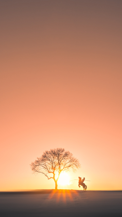 流星与恒星,当奇迹单节绽放,底蕴在压力下闪耀