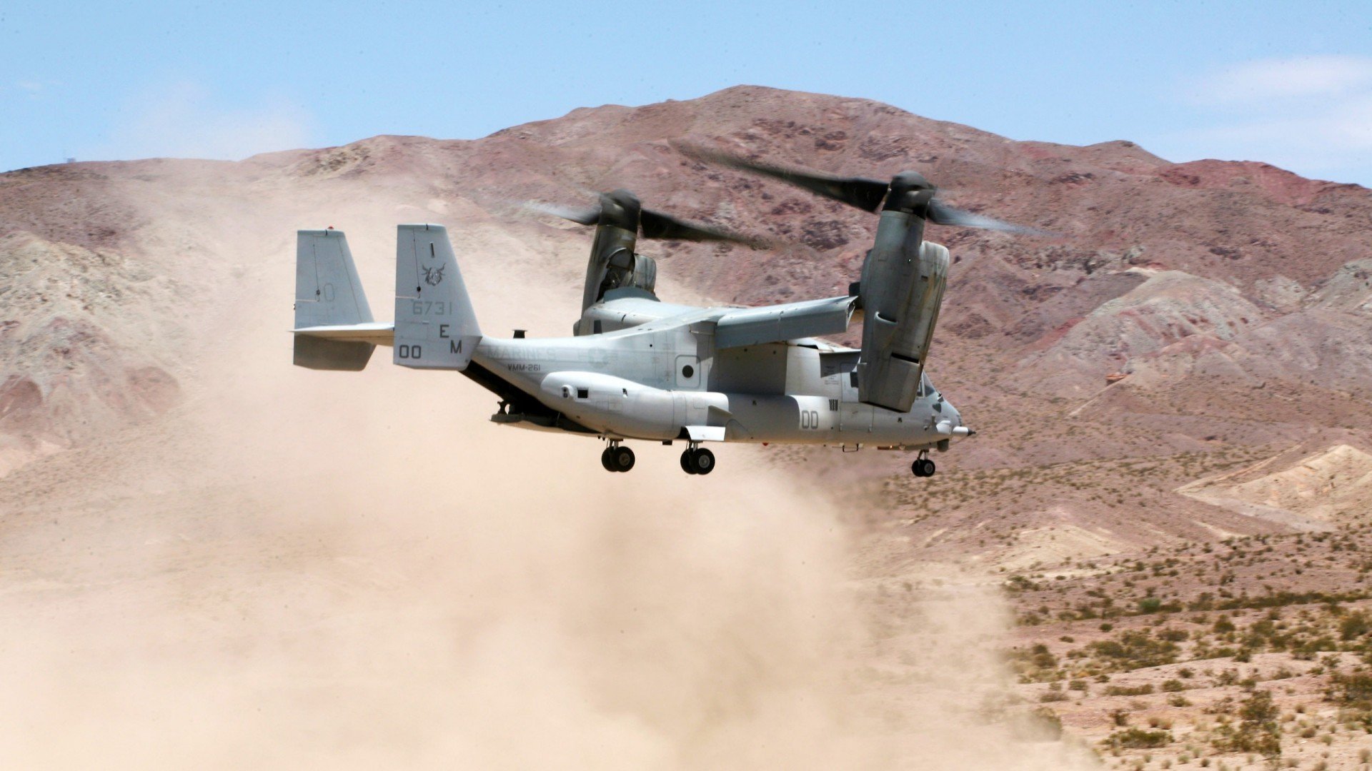 开云体育平台APP-塔图姆，当节奏成为武器，他便是绿军的无声指挥家