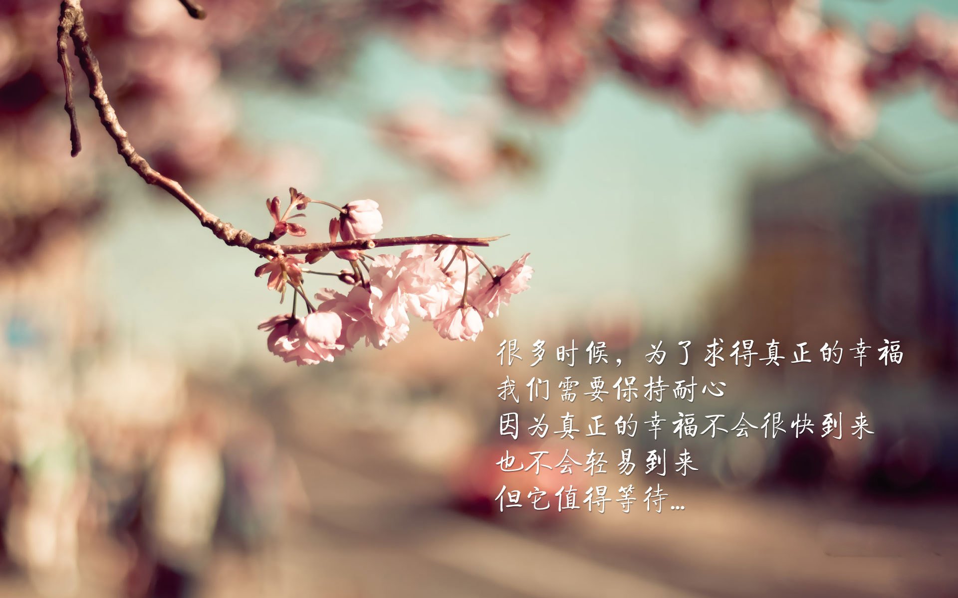 火力全开与铁壁封锁,范弗利特创造历史,绿军防守窒息森林狼