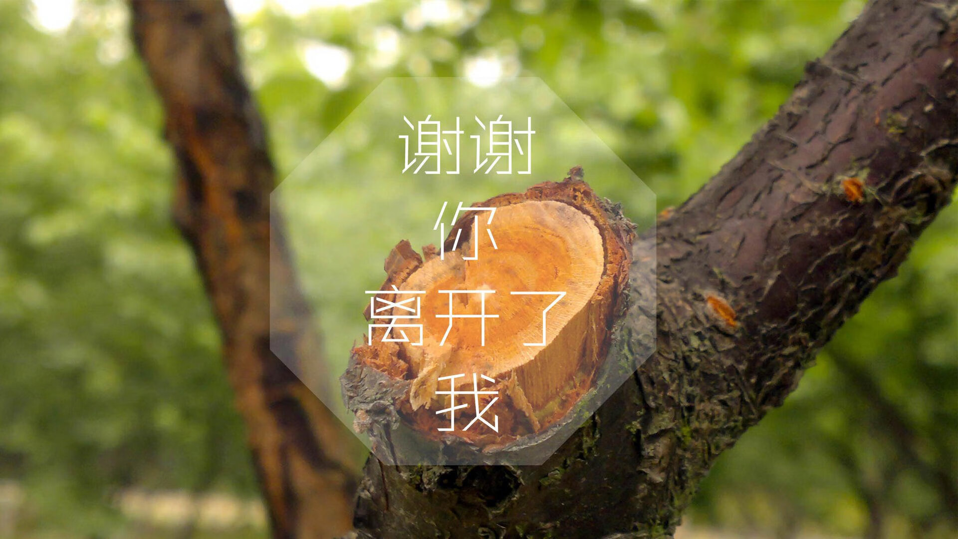 开云体育app-命运十字路口的孤星，当E组的硝烟散尽，唯格列兹曼的华彩在黄昏中永恒