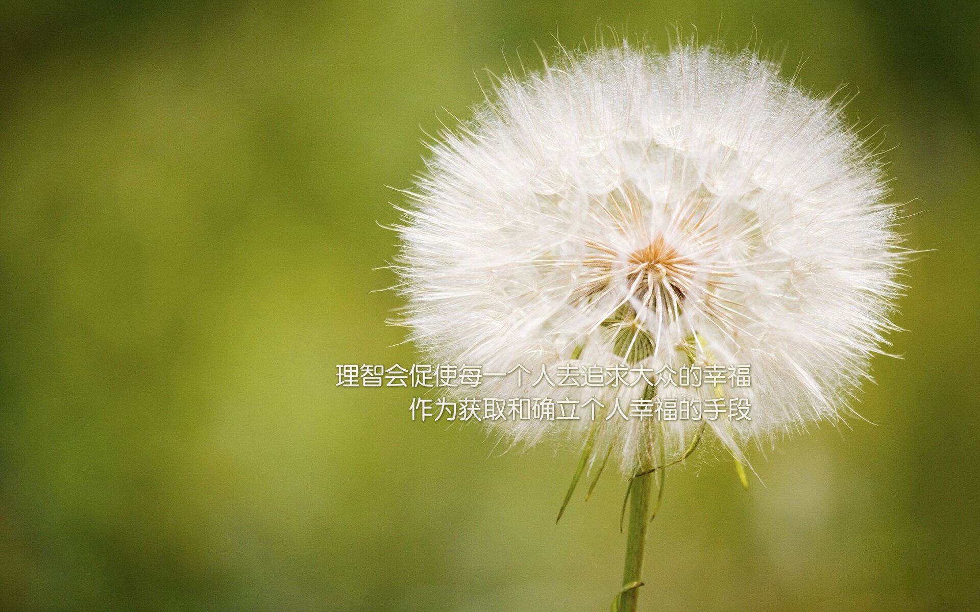 绝境之狮—2026世界杯E组关键战，金童加维导演三球逆转，摩洛哥击碎波兰铁骑