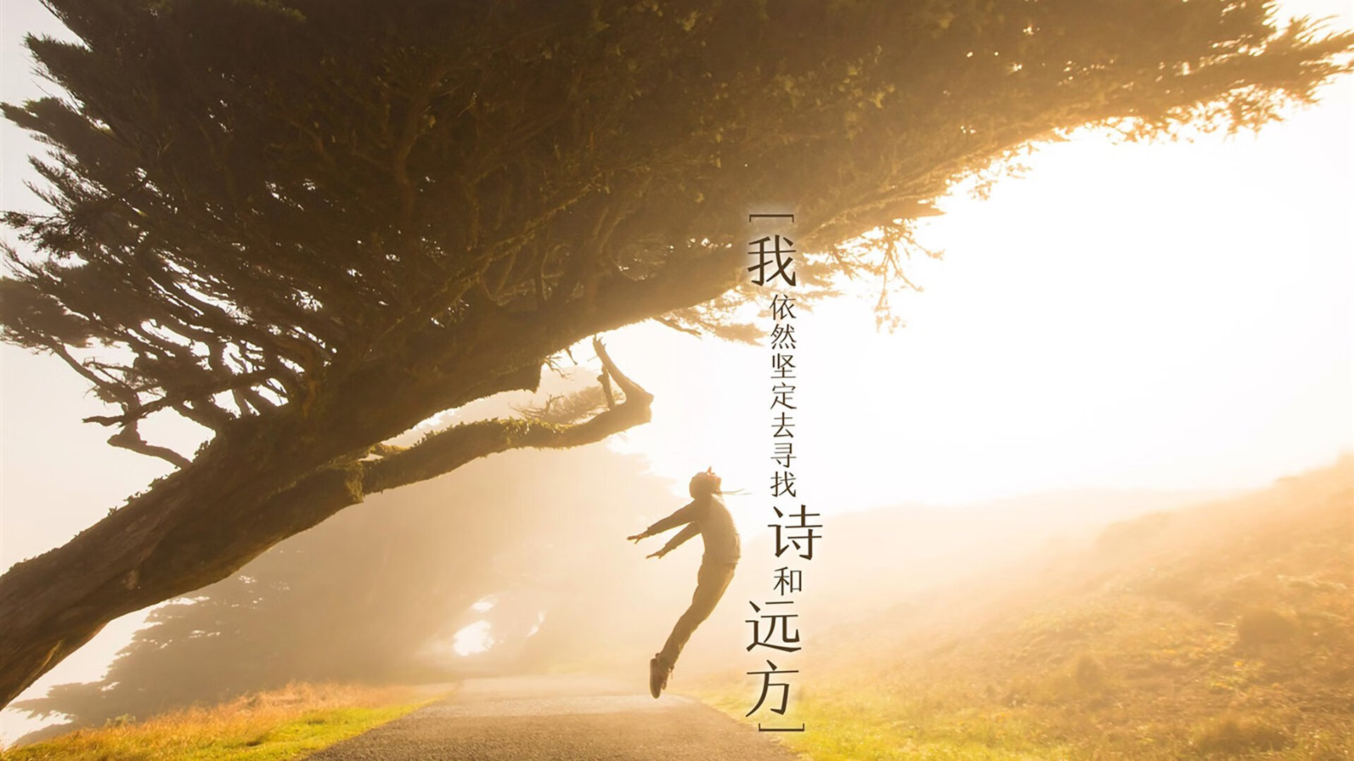 蓝衣风暴席卷札幌,2026世界杯B组巅峰对决,意大利死亡绞杀日本,梅西演绎唯一的谢幕诗篇